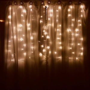 Meet your Posher, Lily